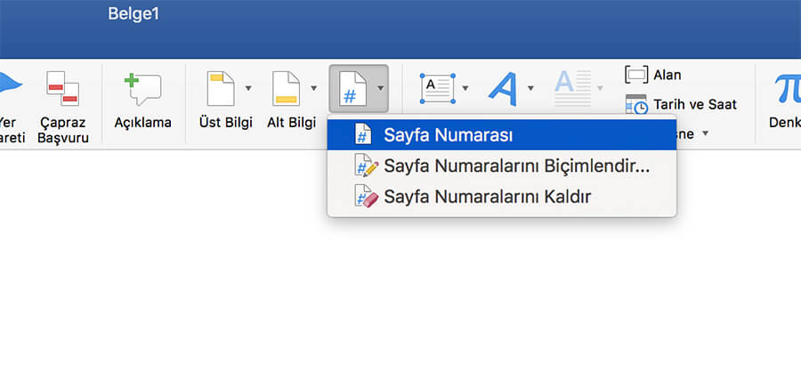 word roma rakamlı sayfa numarası 3