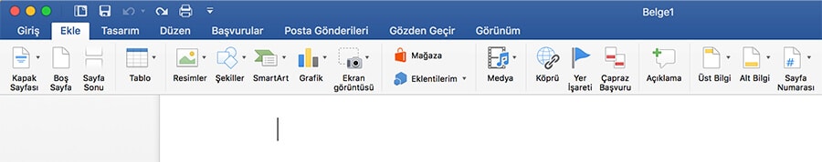 word roma rakamlı sayfa numarası 4