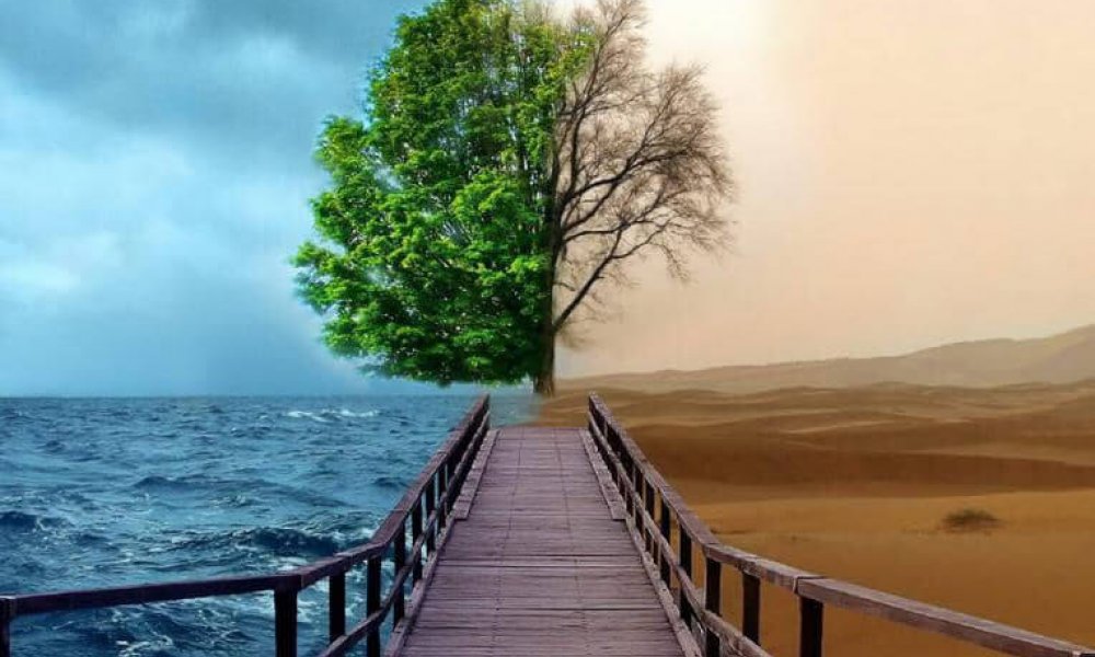 Bir genç ki ne genç..