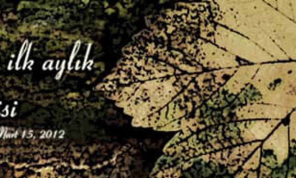 birYaprak'tan bir ağaca..