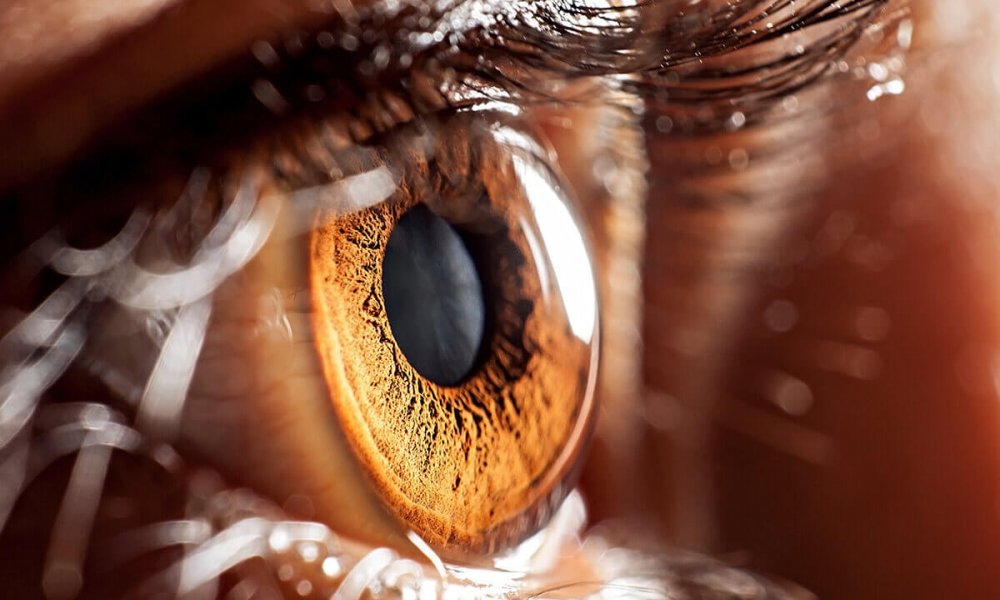 İnsan Gözünün Yakından Görünüşü (Çekimi)