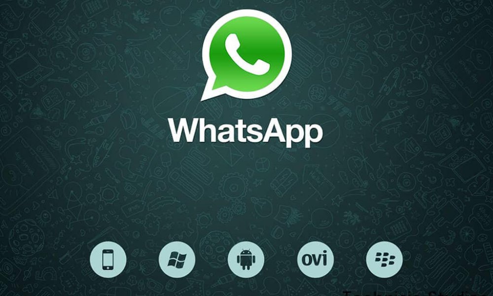 WhatsApp tik renklerinin anlamı (mavi tick rengi ve dahası..)