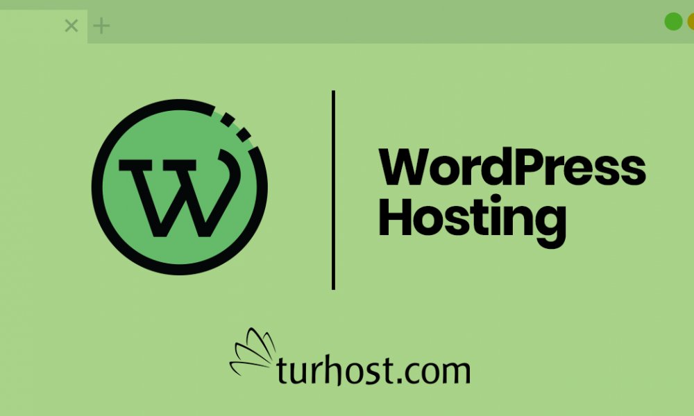 Wordpress Hosting Nedir? 100 Wordpress İle Uyumlu Hosting Var Mı?