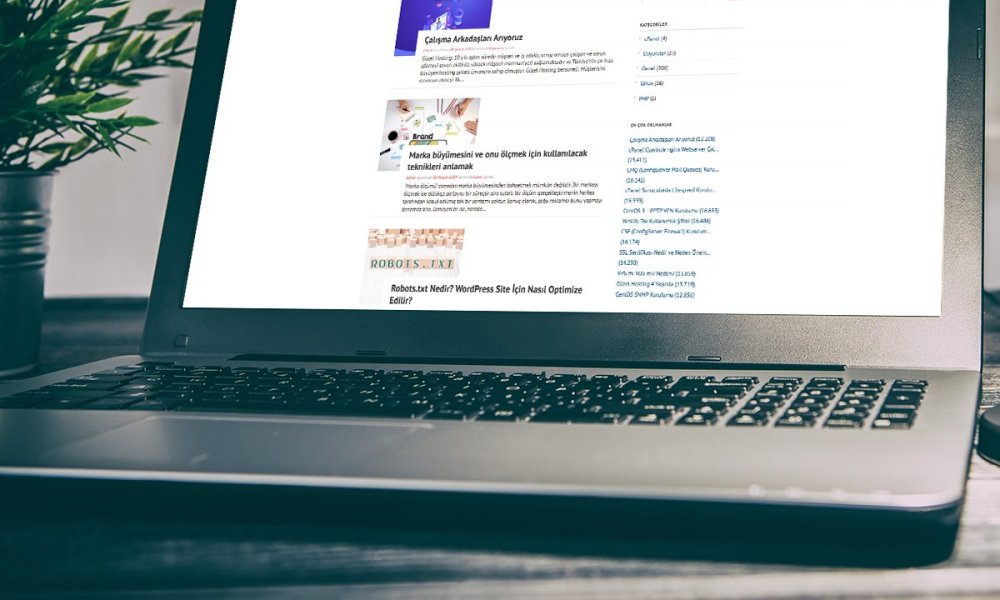 Yeni Başlayanlar İçin Web Hosting Rehberi