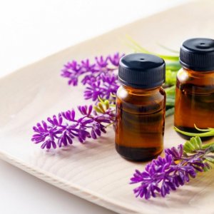 Bit Hangi Kokuya Gelmez?