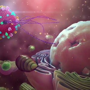 Corona (Korona) Virüsü Belirtileri Ne Zaman Ortaya Çıkar?