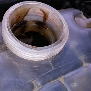 Motor suyuna yağ karışırsa ne olur? (Yağ soğutucu arızası)