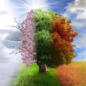 Türkiyede 4 Mevsimin Yaşanmasının Sebebi Nedir